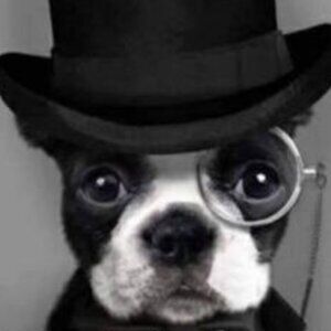 Meet your Posher, Tracy